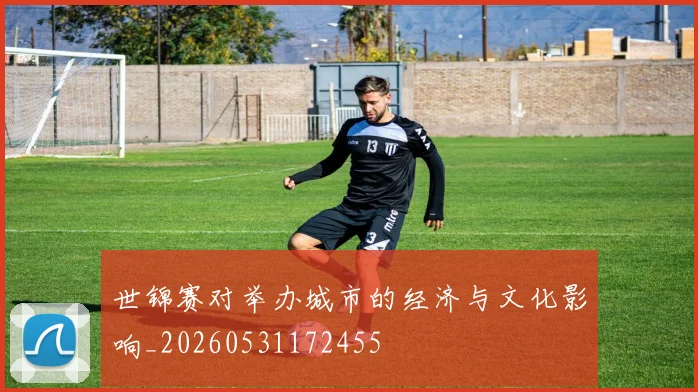 世锦赛对举办城市的经济与文化影响_20260531172455